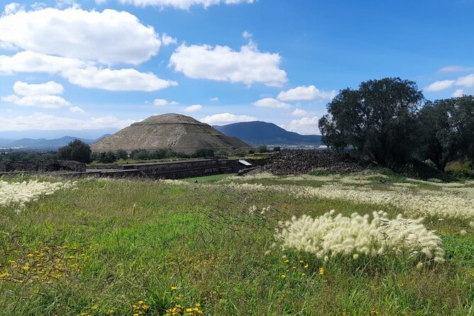 Balloon Flight With Private Transportation and Guided Tour to Teotihuacán - Traveler Experience Highlights