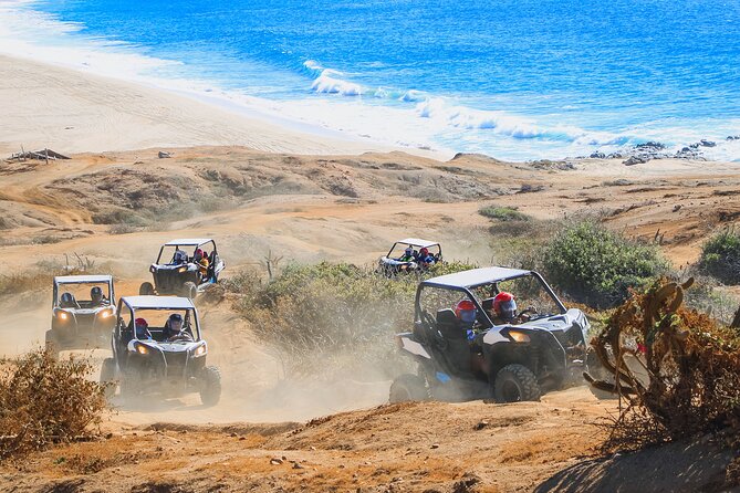 Beach UTV & Camel Ride COMBO in Cabo by Cactus Tours Park - Customer Reviews