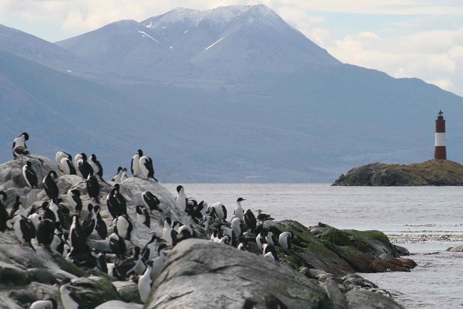 Beagle Channel Sailing Tour: Birds, Seals & Penguins Islands - Inclusions in the Tour Package