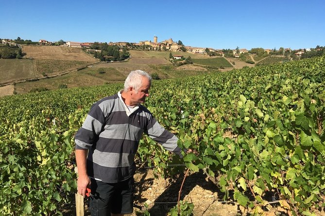 Beaujolais Wine Discovery - Private Tour - Half Day - Customer Reviews