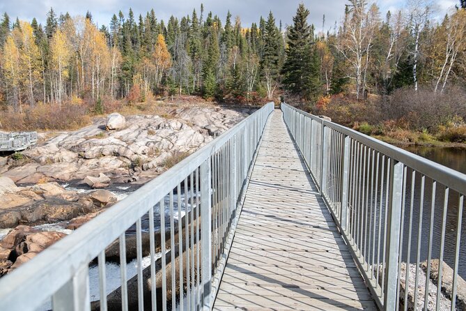 BLACK BEAR VIEWING AND WALKING AT OUTDOOR CTRS CANYON - Saguenay Guided Tours - Reviews and Feedback