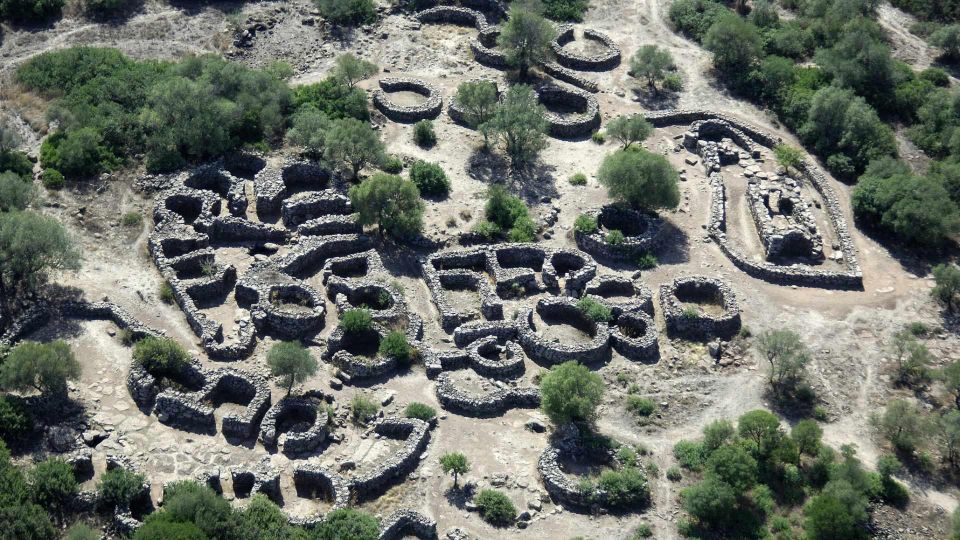 Blue Zone: Tour Among the Secrets of Sardinians Longevity - Activities and Experiences