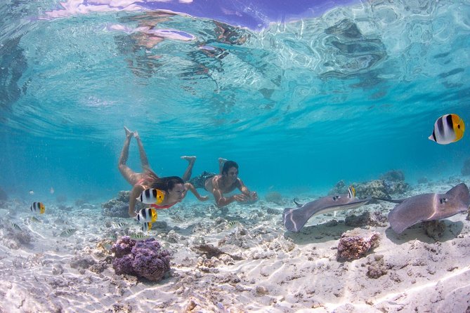 Bora Bora Eco Snorkel Cruise Including Snorkeling With Sharks and Stingrays - Guided Marine Encounters