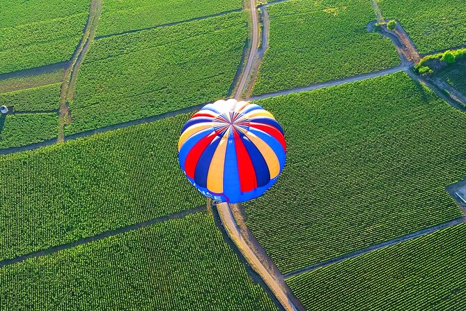 Burgundy Hot-Air Balloon Ride From Beaune - Reviews and Ratings