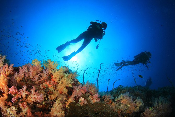 Cabo San Lucas PADI Open Water Certified Diver Course - Pricing and Inclusions