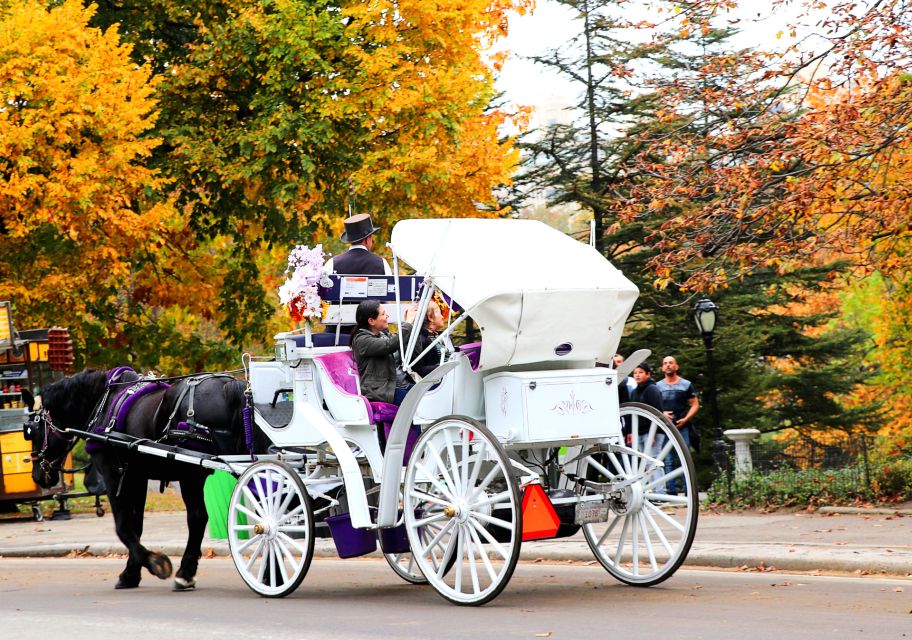 Central Park: Short Horse Carriage Ride (Up to 4 Adults) - Important Information