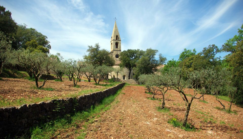 Churches of Provence & French Countryside Private Tour - Thoronet Abbey