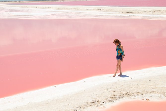 Coloradas Pink Lagoon Adventure From Playa Del Carmen and Riviera Maya - Tour Highlights