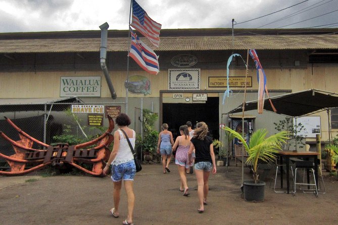 Custom Island Tour - for 4 to 5 People - up to 8 Hours - Private Tour of Oahu - Issues Addressed and Quality Service