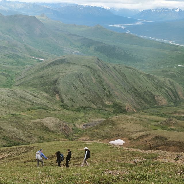 Denali: 5-Hour Guided Wilderness Hiking Tour - Experience Highlights in Denali
