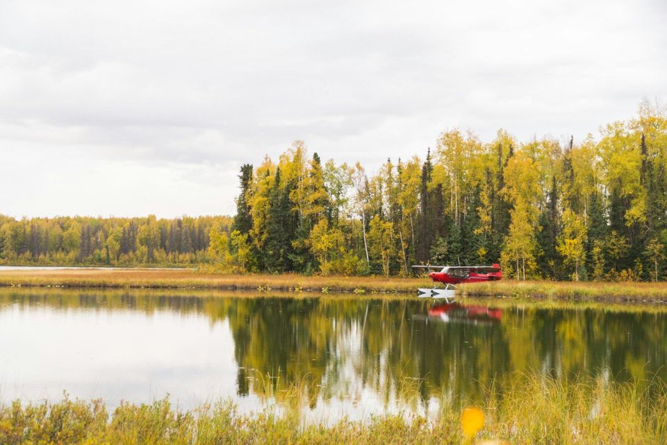 Denali-in-a-Day Sightseeing Tour - Inclusions