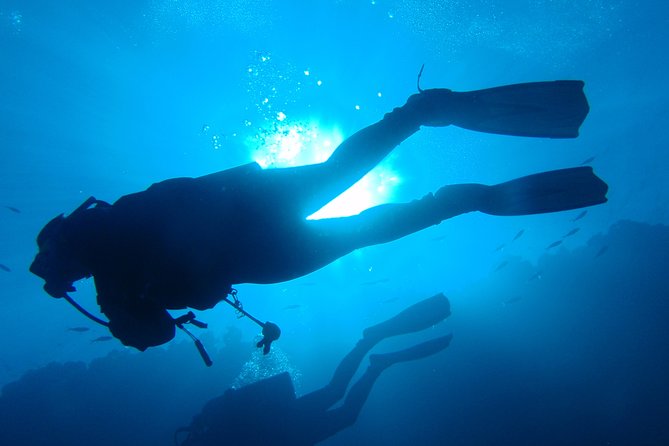 Discover Scuba Diving From the Boot - XL Version - Cancellation Policy