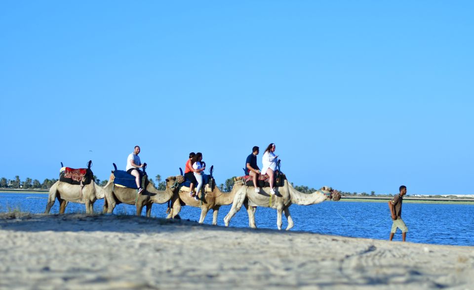 Djerba: Horse and Camel Combo Caravan Tour - Pricing and Customer Reviews