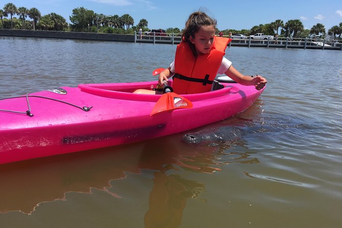 Dolphin & Manatee Kayaking Tour in Orlando Area - Final Words