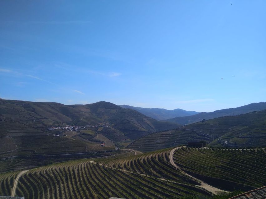 Douro Valley & Amarante - From Porto or Guimarães - Inclusions