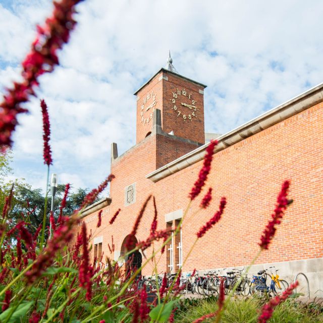 Eindhoven: City Walking Tour - Inclusions