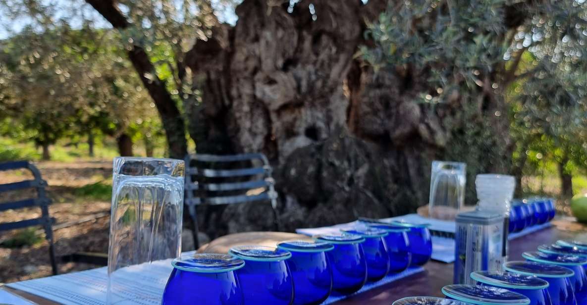 Ermioni: Olive Oil Tasting & Millennial Olive Tree Tour - Dive Into Greek Olive Oil Secrets