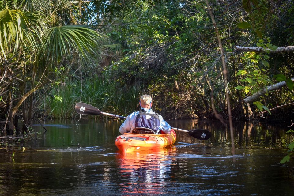 Everglades: Guided Kayak and Airboat Tour - Activity Description