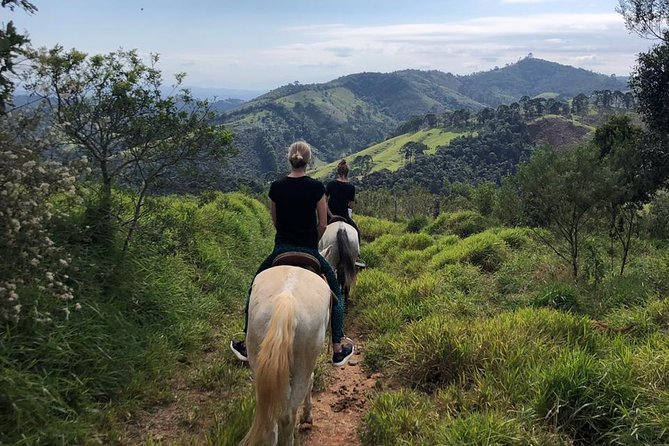 Exclusive Horse Experience With Pic-Nic at Belvedere - Reviews and Ratings