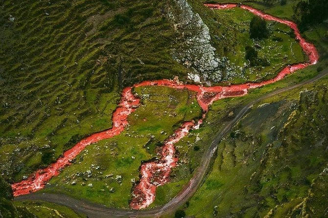 Excursion to Rainbow Mountain Palcoyo From Cusco. - Guide and Staff Feedback