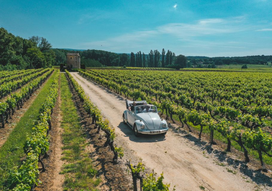 Explore Provence in a Beetle! - Booking and Cancellation Policy