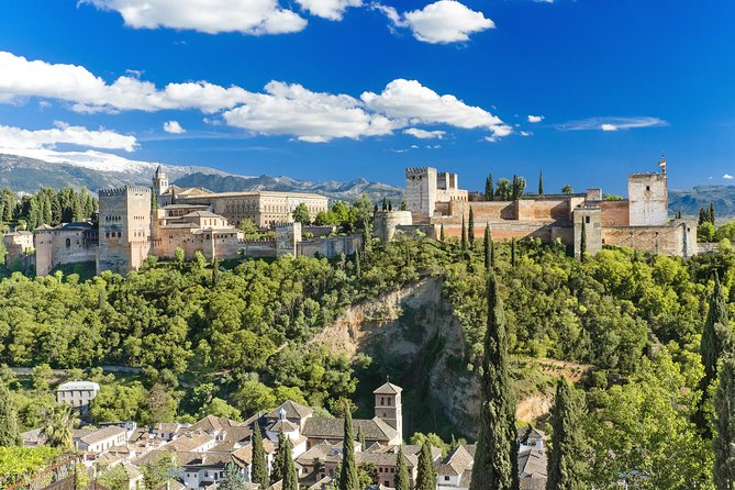 For Cruise Passengers ONLY: Granada and Alhambra From Malaga Port - Inclusions