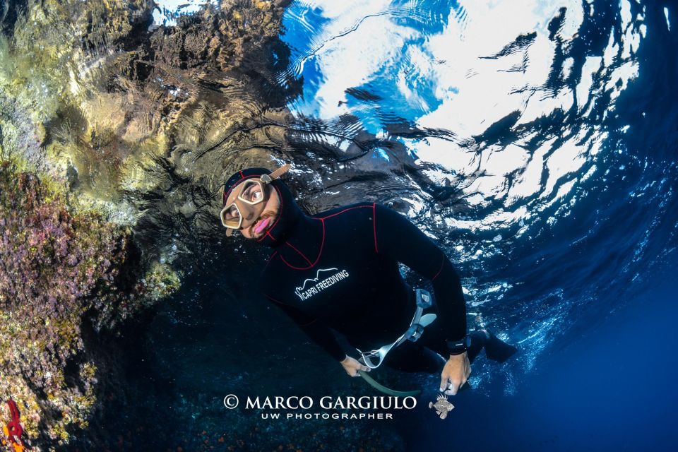 Freediving in the Wild of the Amalfi Coast/Capri/Sorrento: - Inclusions