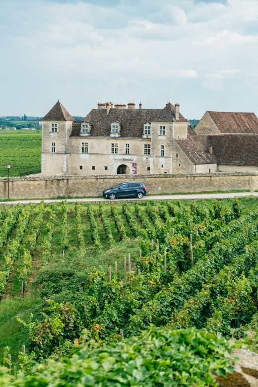 From Beaune: Burgundy Day Trip With 12 Wine Tastings - Local Guide Expertise