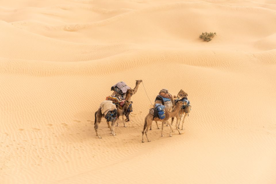 From Djerba and Zarzis : An Epic 3 Days Desert Adventure - Booking Details and Costs