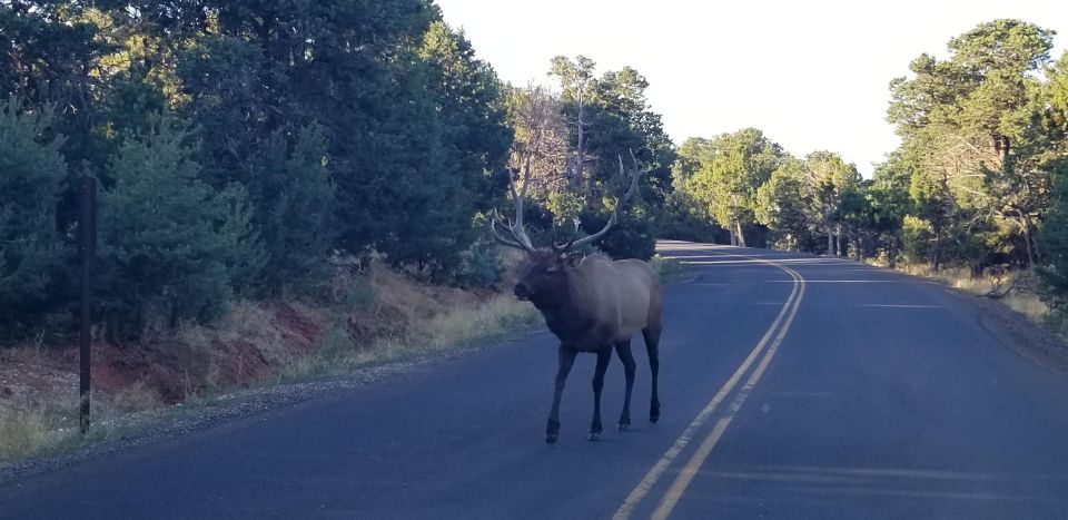 From Flagstaff: Private Grand Canyon National Park Tour - Additional Information