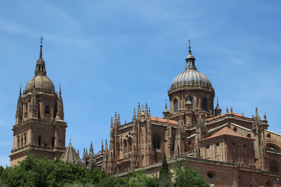 From Madrid: Day Trip to Salamanca With Private Tour - Additional Info