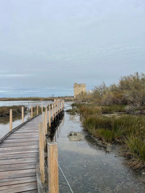 From Montpellier: Camargue and Salt Marshes Guided Tour - Experience