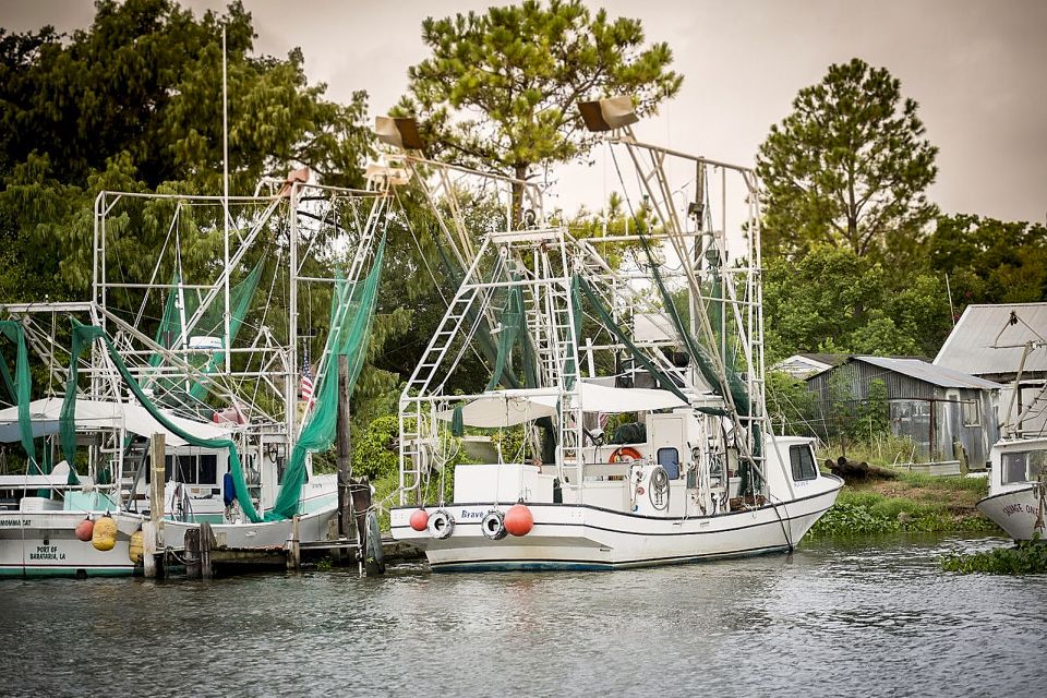 From New Orleans: Airboat Adventure Tour - Booking Information