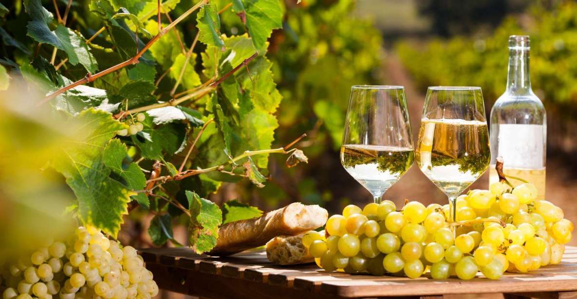 From Nice: Antibes & St Paul De Vence Tour With Wine Tasting - Experience Highlights