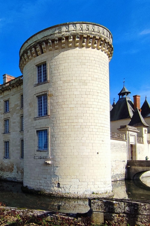 From Poitiers: Private Visit to the Castle of Dissay - Highlights