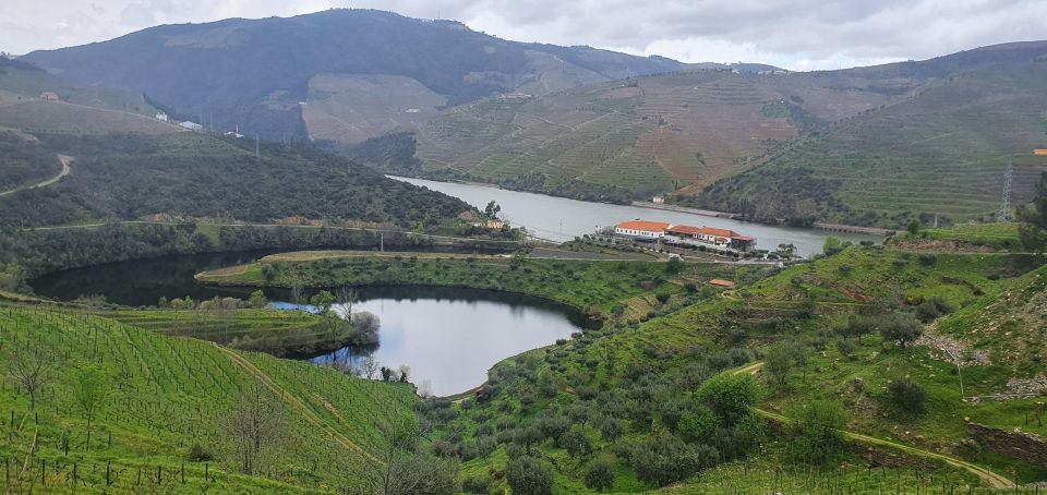 From Porto Private Wine Tour Tasting, Train and Vinho Verde - Scenic Train Ride Along Douro River