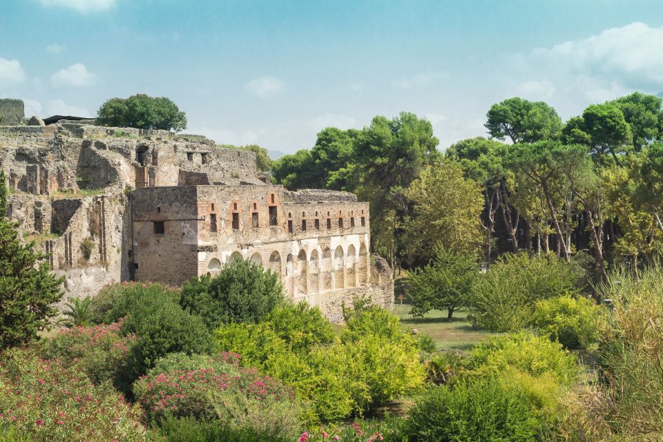 From Rome: Pompeii Private Full-Day Trip With Tour - Experience Highlights