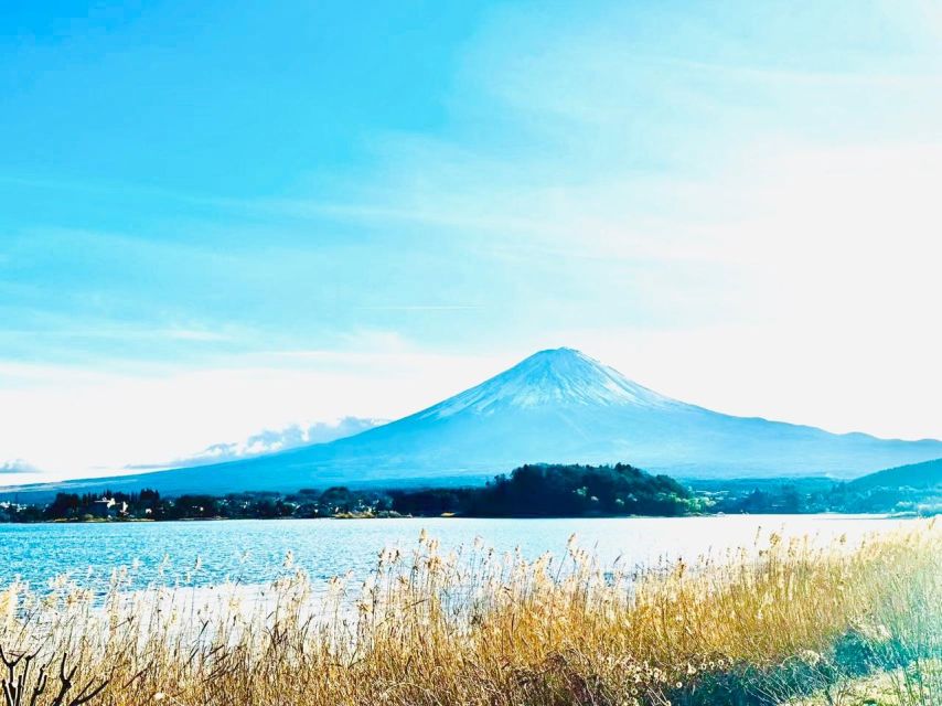 From Tokyo: Guided Day Trip to Kawaguchi Lake and Mt. Fuji - Highlights of the Day Trip