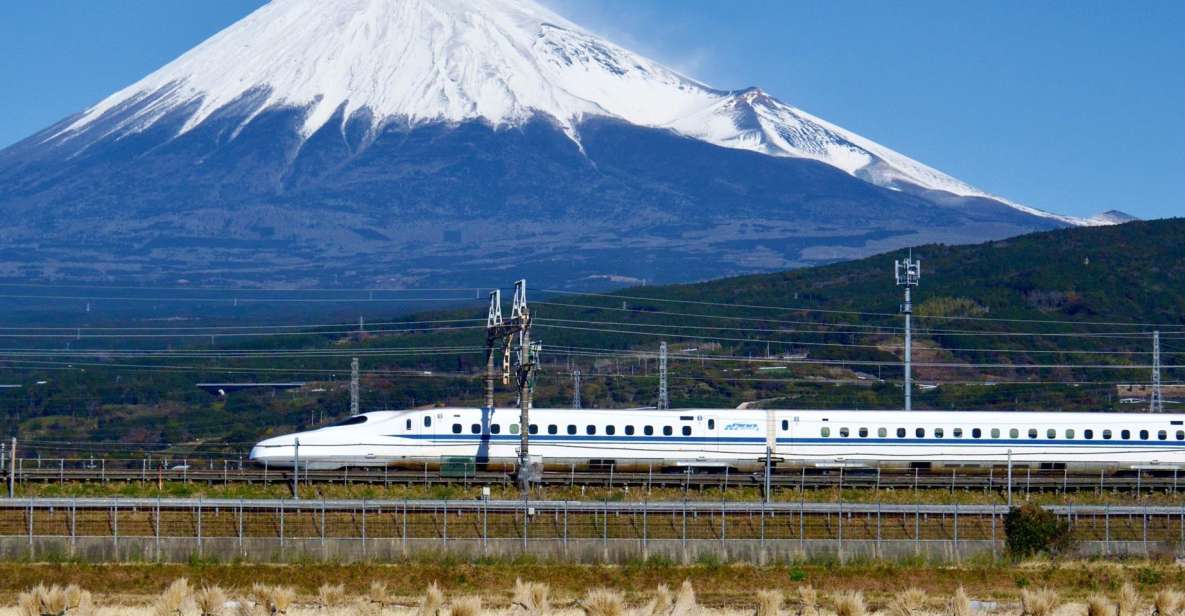 From Tokyo: Mt. Fuji & Hakone Tour W/ Return by Bullet Train - Customer Reviews