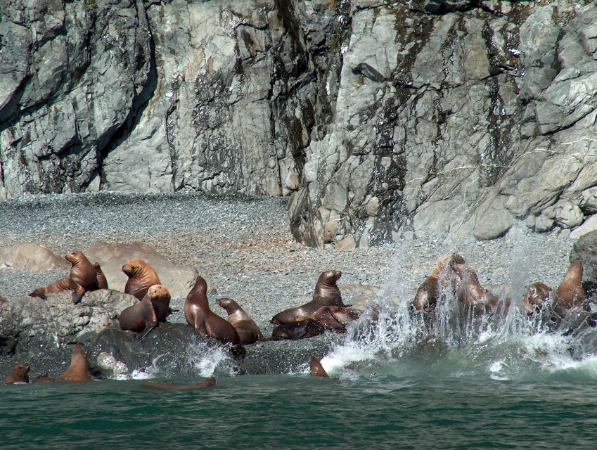 From Valdez: 7.5-hour Meares Glacier & Wildlife Cruise - Full Description