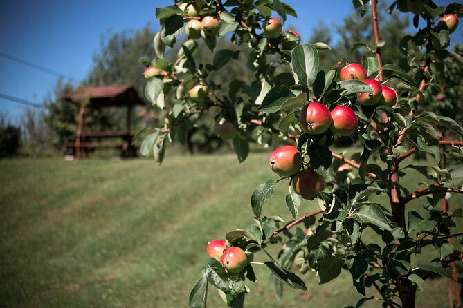 Fruit Alcohol Tasting Velvet Orchards Audio Tour - Additional Resources