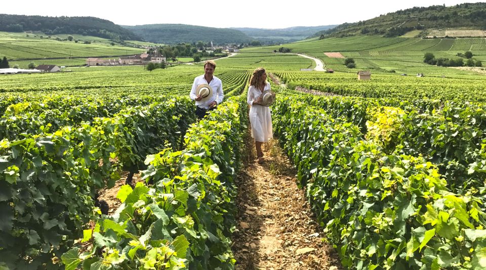 Full Day : the Most of Burgundy With Lunch From Dijon/Beaune - Tour Highlights