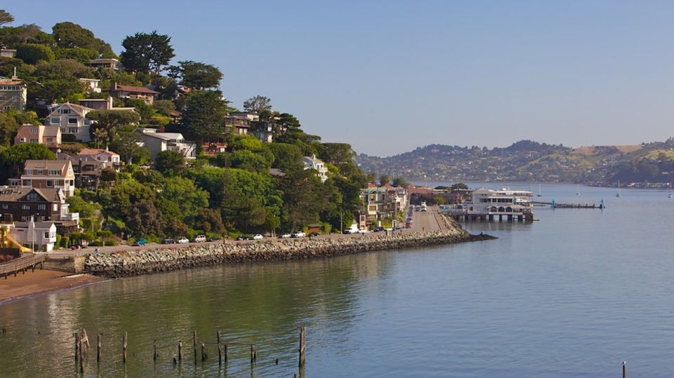 Golden Gate Bridge: Electric Bike Guided Tour to Sausalito - Customer Reviews