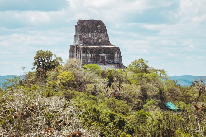 Guided All-Day Private Tour of Tikal National Park  - Flores - Expert Tour Guides