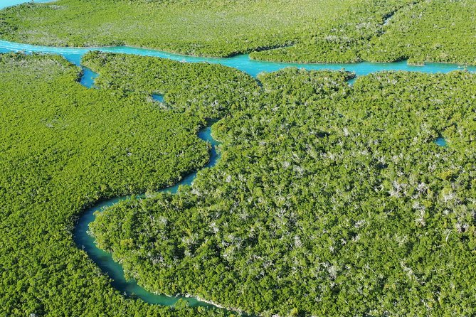 Guided Clear Kayak Eco-Tour Near Key West - Participant Guidelines