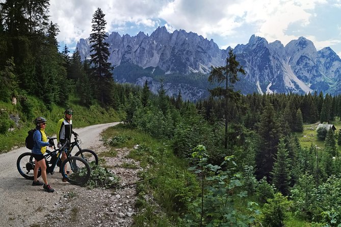 Guided E-Bike Tour of the Alpine Pastures in the Salzkammergut - E-Bike Experience in Salzkammergut