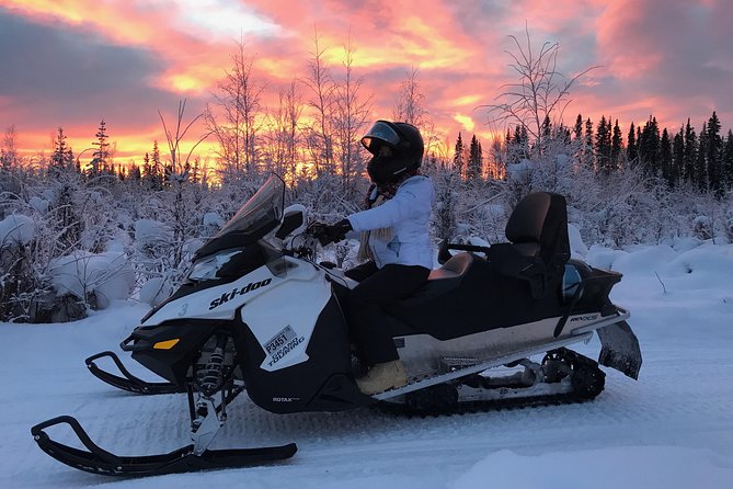 Guided Fairbanks Snowmobile Tour - Customer Reviews and Recommendations