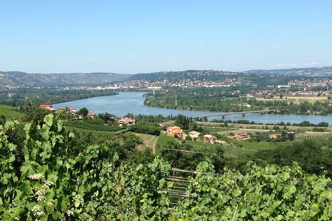 Half-Day Cotes Du Rhone Private Wine Tour From Lyon - Transportation and Logistics