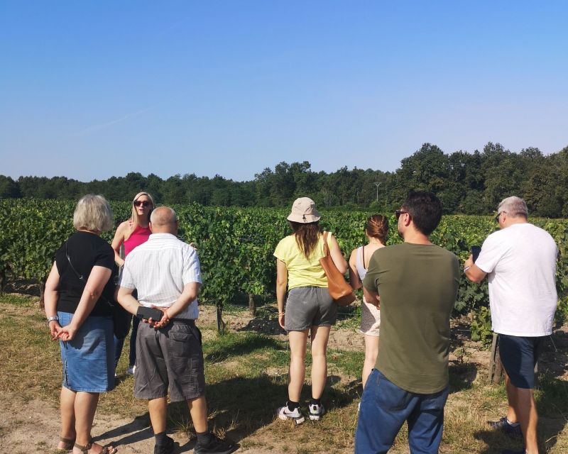 Half-Day in the Médoc From Bordeaux - 2 Wineries and 6 Wines - Winery Experiences