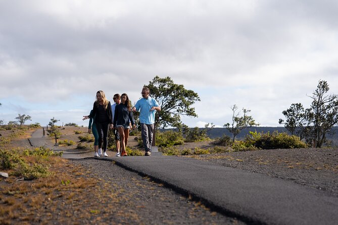 Hawaii Volcano Tour With Dinner From Kailua-Kona  - Big Island of Hawaii - Guide Feedback and Host Responses